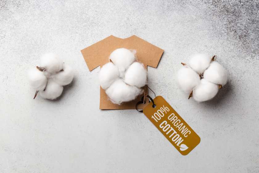 cotton vs organic cotton