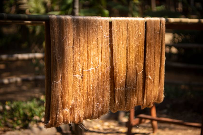 Manufacturing of Silk Fibre