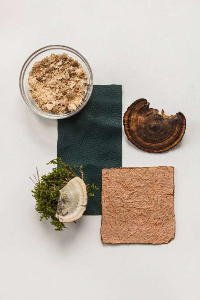 Mushroom Root Leather