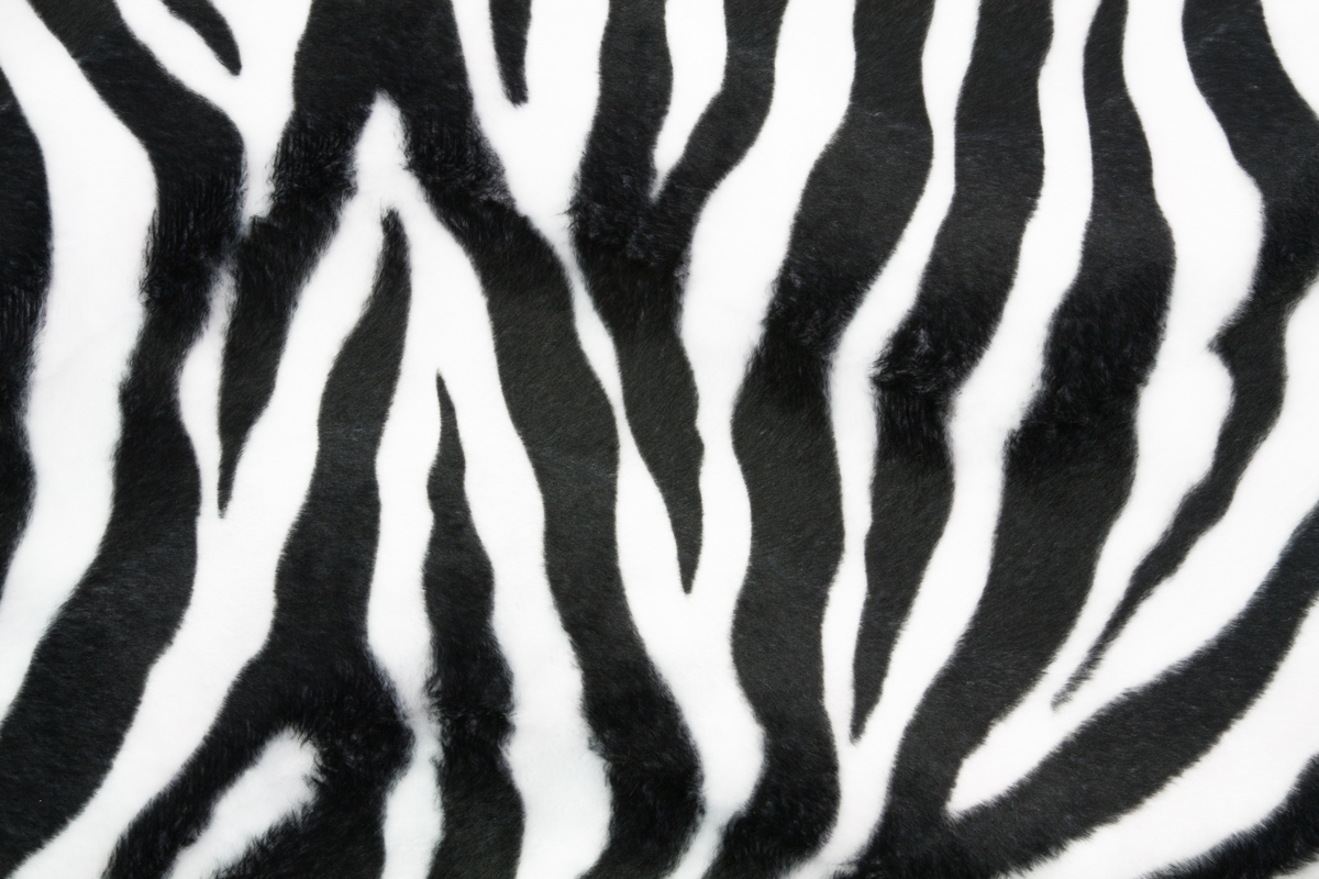 Abstract and Animal Prints