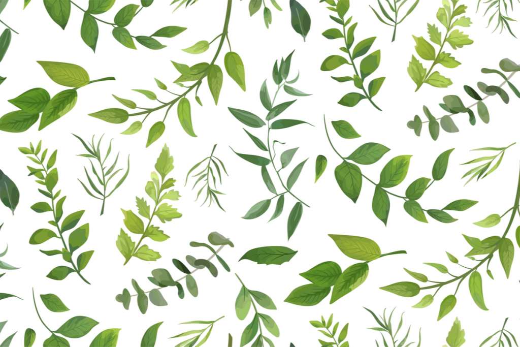 Leaf and Vine Fabric Print Designs