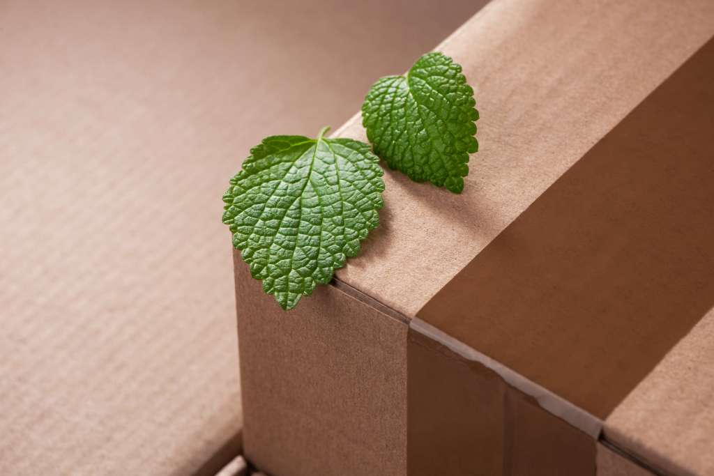 Green Packaging