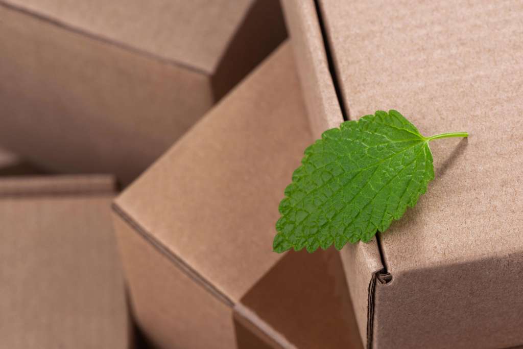 How Sustainable Packaging Can Boost Your Product Image