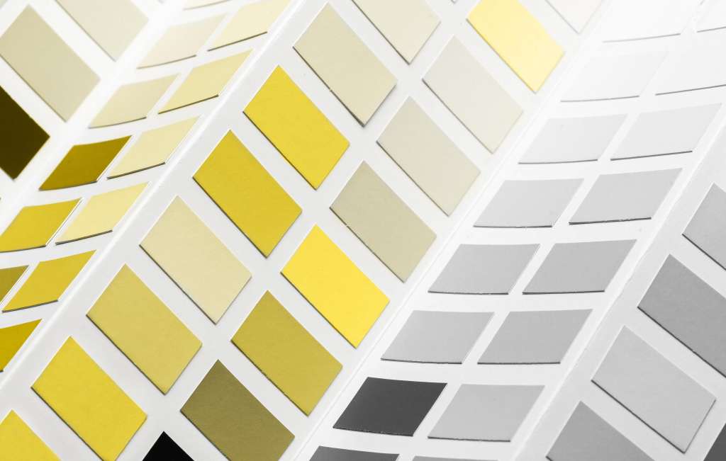 Pantone Color Swatch